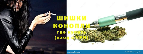 винт Алзамай