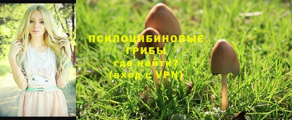 ALPHA PVP Алексеевка