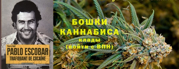 винт Алзамай
