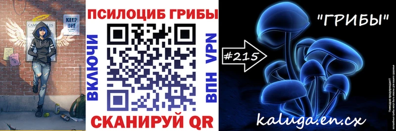 KRAKEN   Старая Купавна  Галлюциногенные грибы прущие грибы  shop наркотические препараты  закладки 