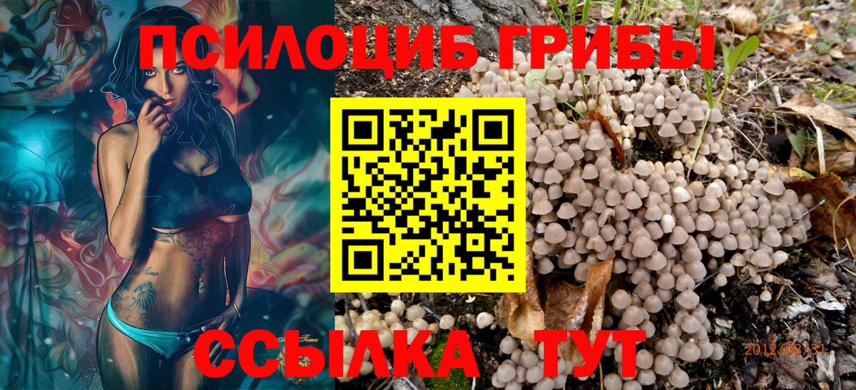 Старая Купавна  Псилоцибиновые грибы GOLDEN TEACHER  Вход с VPN 